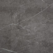 Carpantian Gloss Wall Panel 24x48 | Tile Center