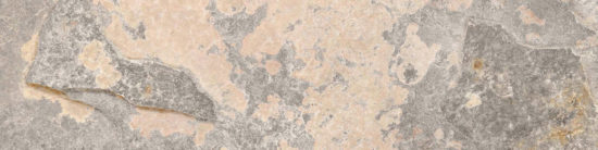 Chitwan Gris 3X12 Bullnose | Tile Center