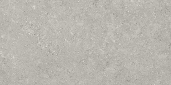 Denver 12X24F Graphite Matte | Tile Center