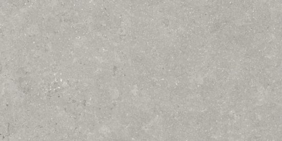 Denver 12X24F Graphite Matte | Tile Center