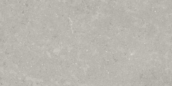Denver 12X24F Graphite Matte | Tile Center