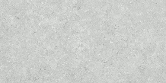 Denver 12X24F Platinum Matte | Tile Center