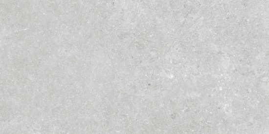 Denver 12X24F Platinum Matte | Tile Center
