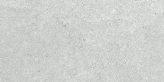 Denver 12X24F Platinum Matte | Tile Center