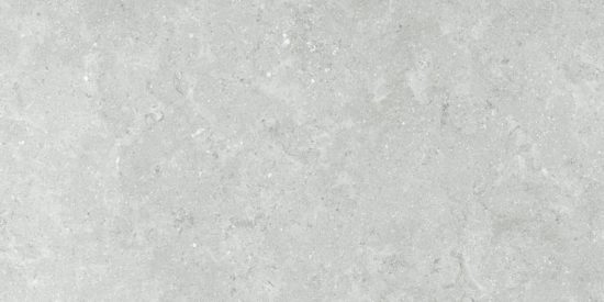 Denver 12X24F Platinum Matte | Tile Center