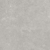 Denver 20X20F Graphite Matte | Tile Center