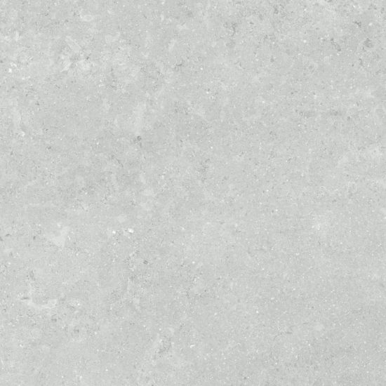 Denver 20X20F Platinum Matte | Tile Center