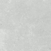 Denver 20X20F Platinum Matte | Tile Center