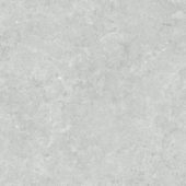 Denver 20X20F Platinum Matte | Tile Center