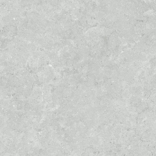 Denver 20X20F Platinum Matte | Tile Center