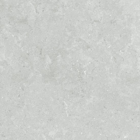Denver 20X20F Platinum Matte | Tile Center