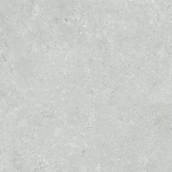 Denver 20X20F Platinum Matte | Tile Center