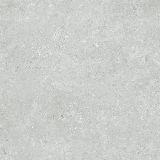 Denver 20X20F Platinum Matte | Tile Center