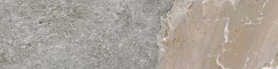 Dynasty Grey 3X12 Bullnose | Tile Center