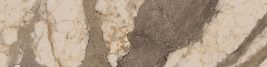 Dynasty Taupe 3X12 Bullnose | Tile Center