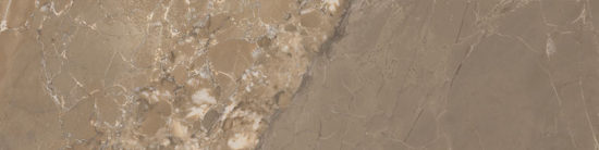 Dynasty Taupe 3X12 Bullnose | Tile Center