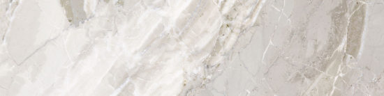 Dynasty White 3X12 Bullnose | Tile Center