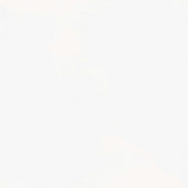 Floodplain Field Tile Ivory | Tile Center