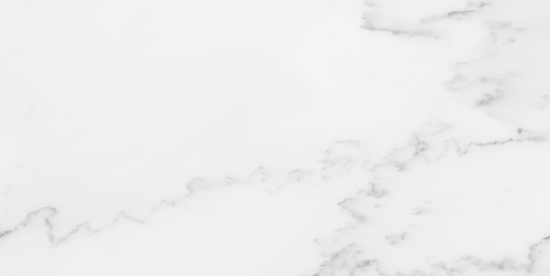 Florence 12X24F Bianco Texture | Tile Center