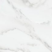 Florence 13X13F Bianco Matte | Tile Center