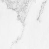 Florence 13X13F Bianco Matte | Tile Center