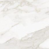 Florence 13X13F Calacatta Matte | Tile Center