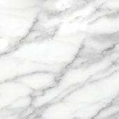 Florence 20X20F Statuario Matte | Tile Center