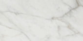 Golden Calacatta Matte 12X24 | Tile Center