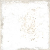 Jamaica White 5x5 | Tile Center