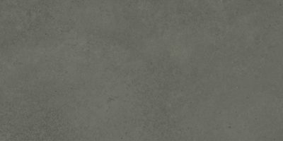 Madison 12X24F Carbon Matte