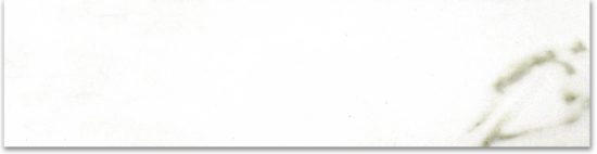 Matte 3X12 Adoration Bullnose | Tile Center