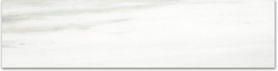 Matte 3X12 Devotion Bullnose | Tile Center