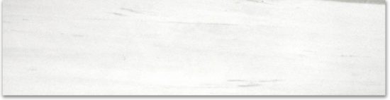 Matte 3X12 Devotion Bullnose | Tile Center