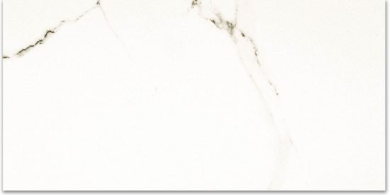 Matte Adoration 16X32 | Tile Center