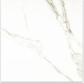 Matte Adoration 24X24 | Tile Center