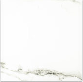 Matte Adoration 24X24 | Tile Center