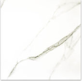 Matte Adoration 24X24 | Tile Center