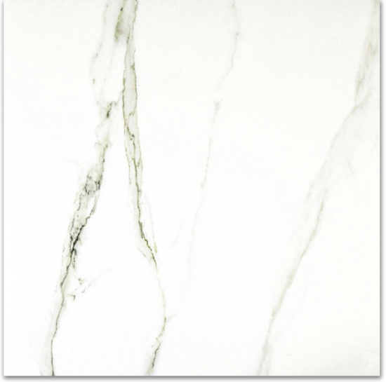 Matte Adoration 24X24 | Tile Center