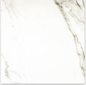 Matte Adoration 24X24 | Tile Center