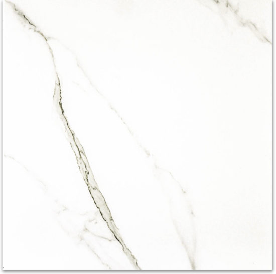 Matte Adoration 24X24 | Tile Center