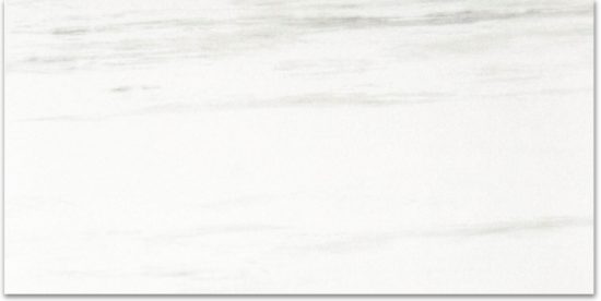 Matte Devotion 12X24 | Tile Center