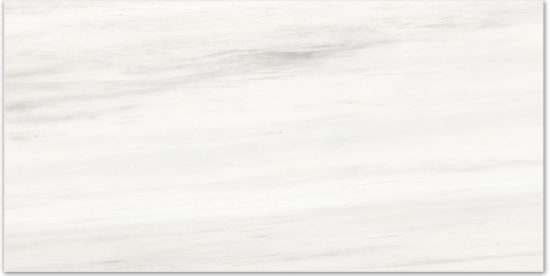 Matte Devotion 16X32 | Tile Center