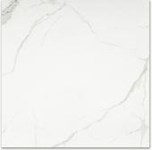 Matte Love 24X24 | Tile Center