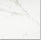 Matte Love 24X24 | Tile Center