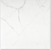 Matte Love 24X24 | Tile Center