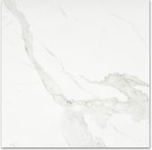 Matte Love 24X24 | Tile Center