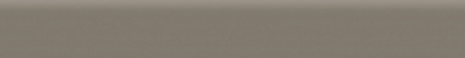 Matte Stockholm 3X24 Bullnose | Tile Center