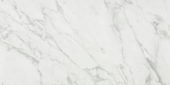 Milano Statuario Polished 12X24 | Tile Center
