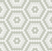 Morning Blend Matte Hexagon Pattern Mosaic | Tile Center