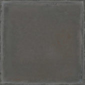 Palms Steel 8x8F | Tile Center